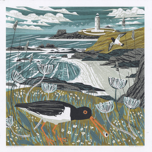 Godrevy Oystercatchers