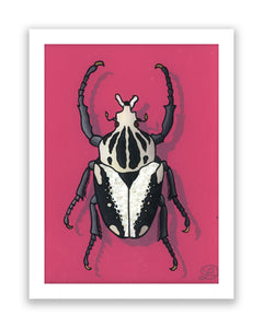 Goliath Beetle Original Reverse Glass Painting