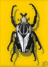 Load image into Gallery viewer, Goliath Beetle Original Reverse Glass Painting