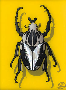 Goliath Beetle Original Reverse Glass Painting