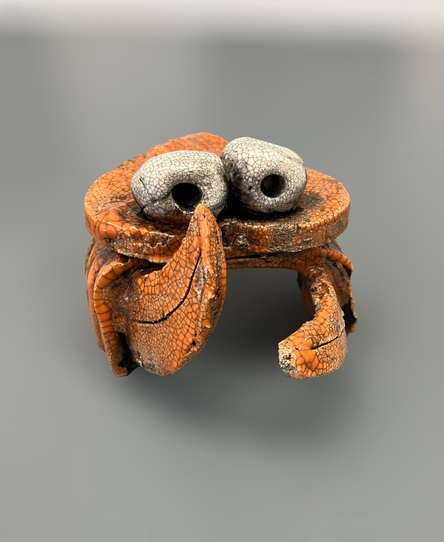 Newquay Crab