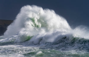 Wild Waves 1 - SaltWalls