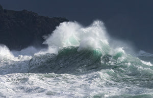Wild Waves 3 - SaltWalls